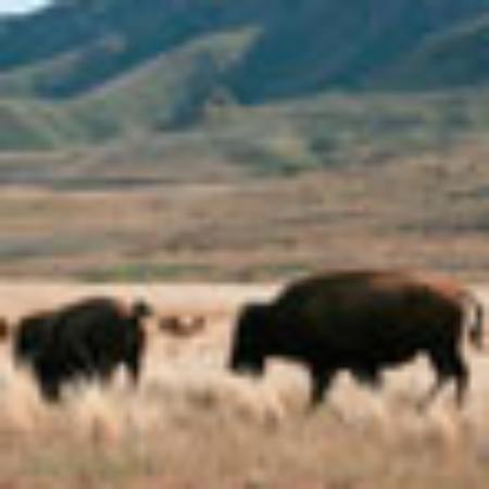 Maruso Street Food Bar